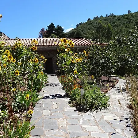 La Gustoza * El Sauzal