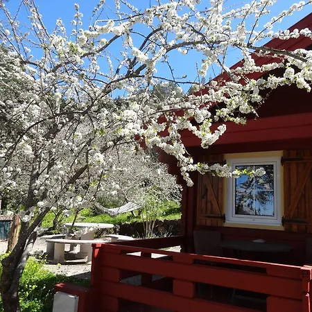 La Gustoza Casa di campagna El Sauzal