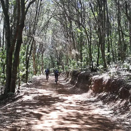 La Gustoza * El Sauzal