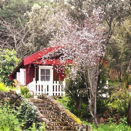 La Gustoza El Sauzal