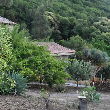 La Gustoza * El Sauzal