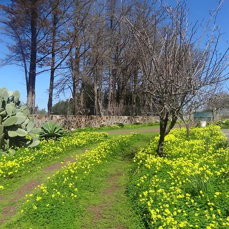 La Gustoza * El Sauzal