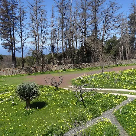 La Gustoza Casa di campagna El Sauzal