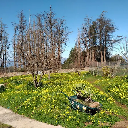 La Gustoza El Sauzal